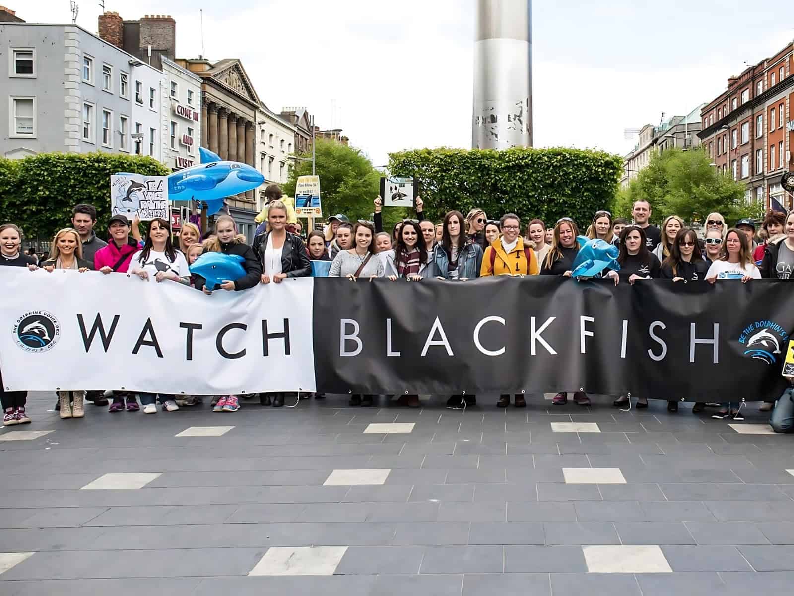 tdvngo-watch-blackfisch-banner-freiheit