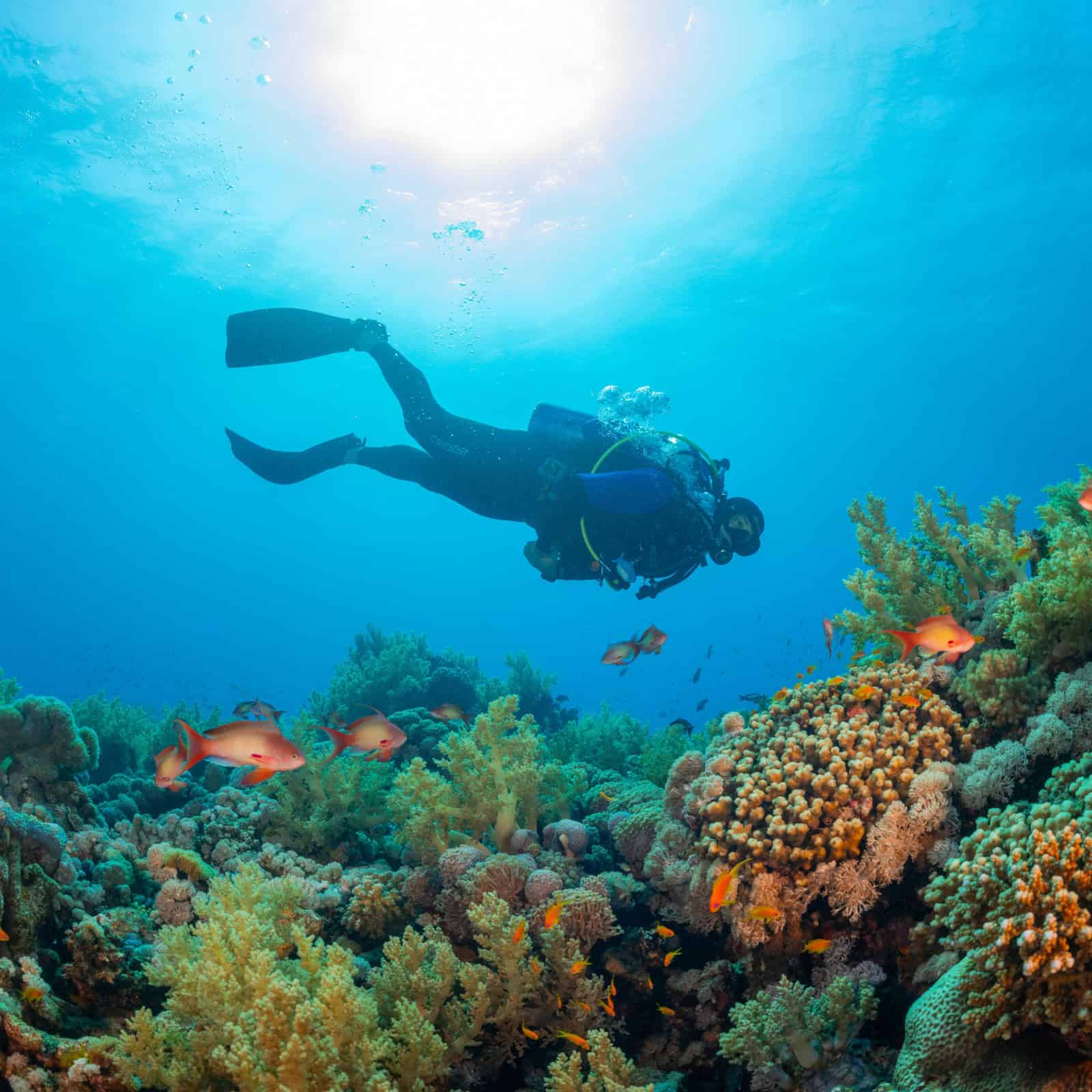 tdvngo-marekids-spielplatzfest26-erfahren